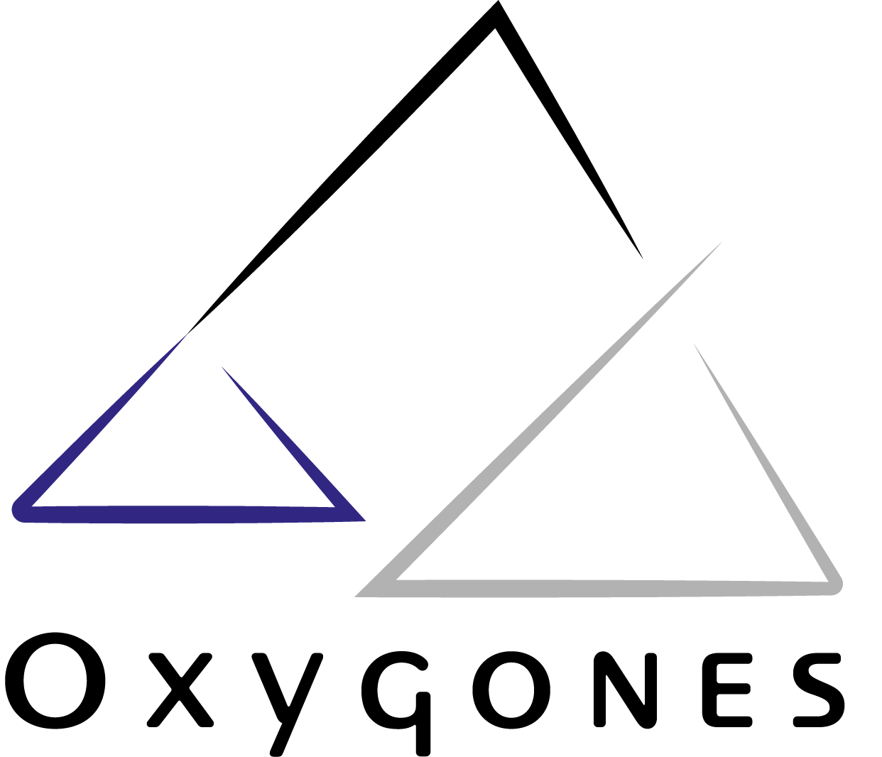 Logo Oxygones
